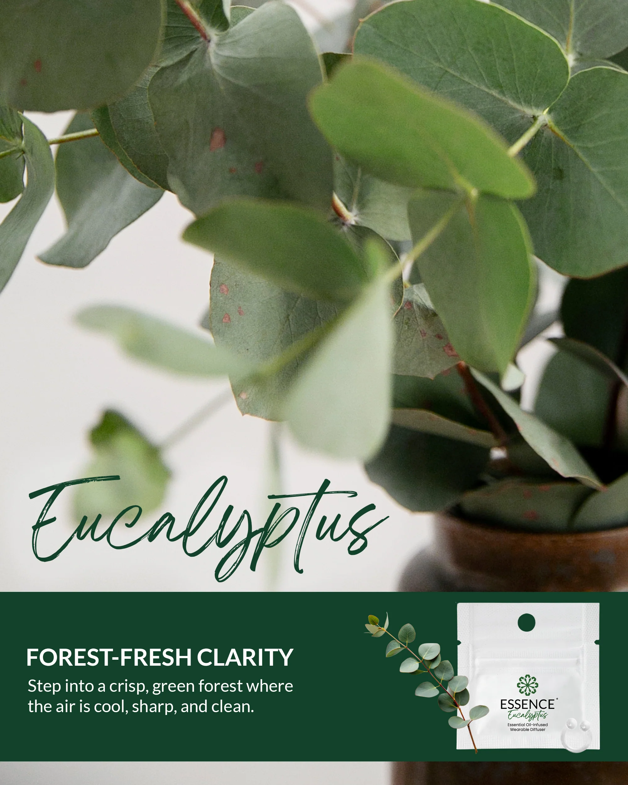 Eucalyptus Scent Nasal Diffuser Ring - Image 5