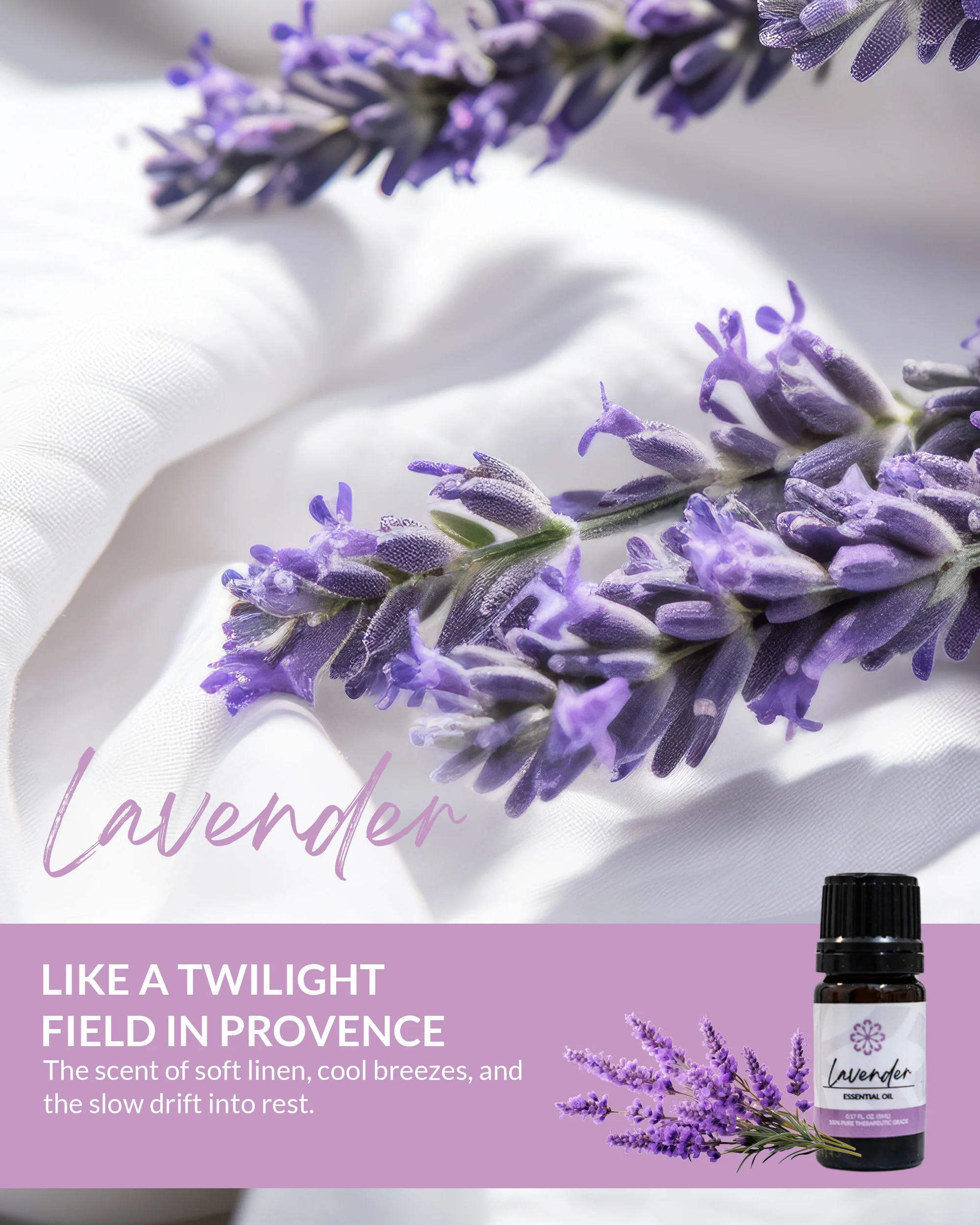 Lavender Essential Oil 5mL - Pure, Therapeutic Grade for Natural Relaxation & Stress Relief - Image 4