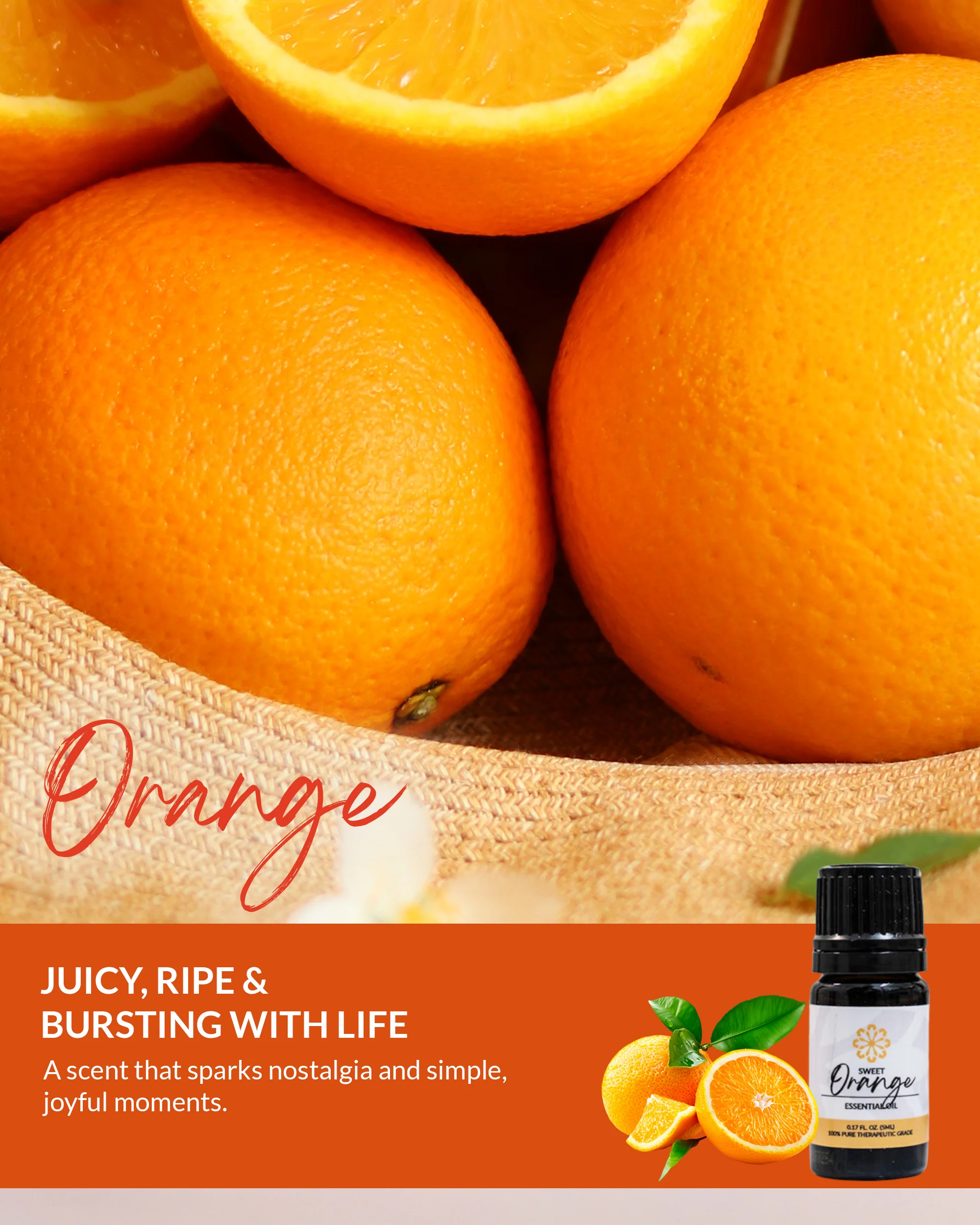 Orange Essential Oil Blend 5mL - Natural Refreshment! - Image 3
