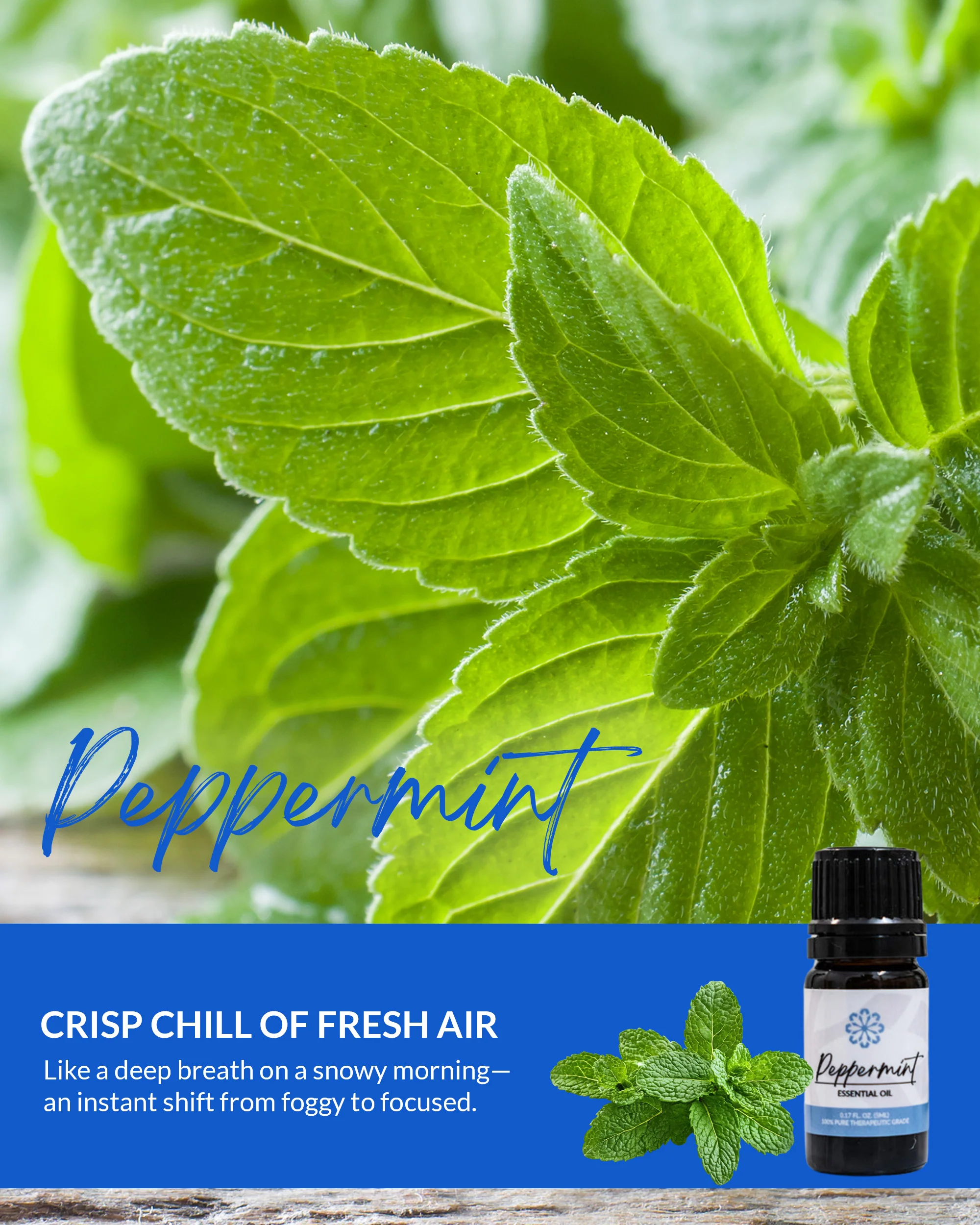 Peppermint Essential Oil 5 mL - Embrace Natural Relief! - Image 4